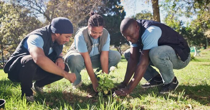 Teamwork, planting and community project in nature, park and garden for sustainable environment. Collaboration, climate change and happy volunteers with flower, growth and green ecology for earth day