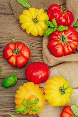 Colorful Heirloom tomato harvest. Ripe ribbed vegetables with fresh basil leaves. Wooden background