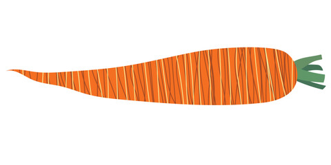 Isolated carrot with texture. Bright vector vegetable for your design.