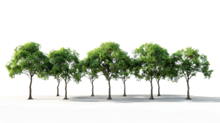 A row of green trees, nature concept, on white background