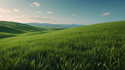 green field with mountains in the background.