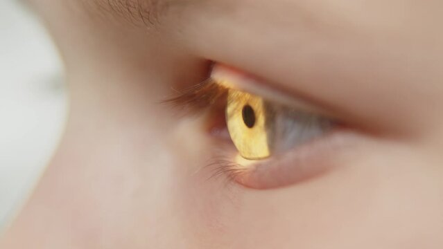 Examination of the child using a slit lamp. Microscope and focused light source. A device for high-precision examination of the eye to determine the condition of the lens.