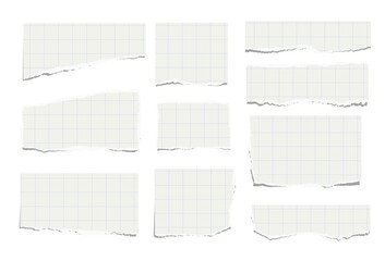Set of torn pieces of checkered paper isolated on a white background. Paper collage.