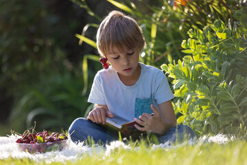 Cute little child, boy with pet dog, maltese breed, reading a book in garden, summertime, eating cherries