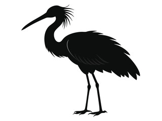 roseate spoonbill  silhouette black white background B.eps