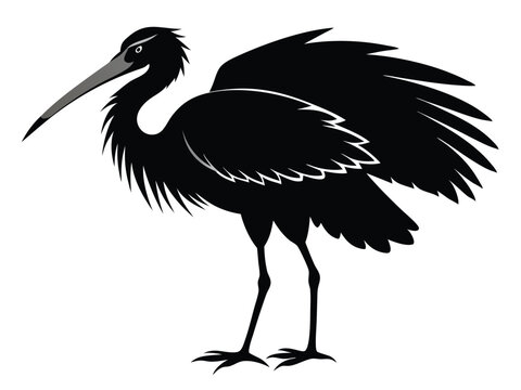 recommend clip art: roseate spoonbill  silhouette black white background H.eps