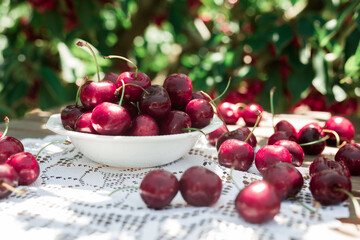 Still life with cherries in a white bowl on the table
