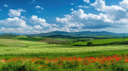 a beautiful summer landscape featuring green hills with poppies and cypress trees, under a blue sky with clouds.