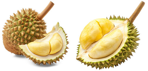 Fototapeta premium cut open peeled fresh ripe durian yellow creamy fruit look tasty yummy on thorn shell, PNG transparent background