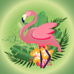 hello summer, background with flamingos and tropical leaves and flowers