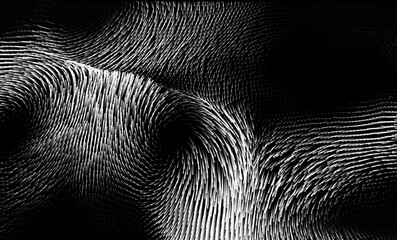 Arabesque en noir et blanc