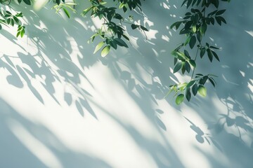 Abstract background with hanging leaves shadow on white wall, empty space for product presentation display mockup, sunlight and shadows 