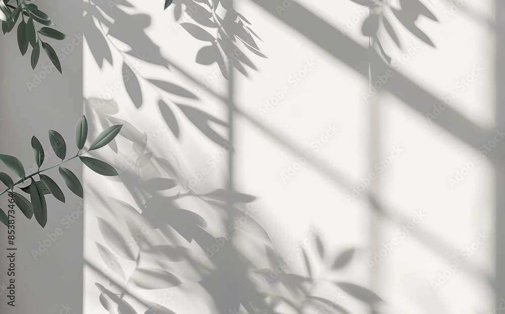 Poster white wall with shadow from window and tree leaves. simple but minimalistic natural background.