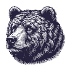 bear vector, bear silhouette