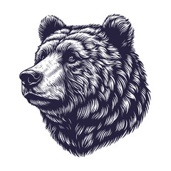 bear vector, bear silhouette