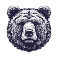 bear vector, bear silhouette