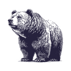 bear vector, bear silhouette