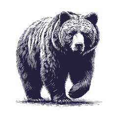 bear vector, bear silhouette