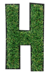 Letter H made of green grass isolated on white.