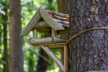 Close-up of a bird feeder tied to a tree trunk.