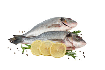 Two spent and cleaned dorade fish with lemon circles, rosemary sprigs and peppercorns on white background.