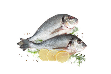 Two dorada fish on a white background with lemon scrapings, dill and pepper.