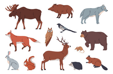 Animals and mammals from forests and woods. Vector isolated rat, moose and deer, wolf and fox, squirrel and beaver, hedgehog and rabbit, magpie and owl. Nature fauna and biodiversity, zoo park