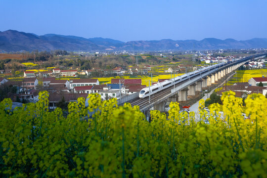 A high-speed railway traversing the sea of flowers