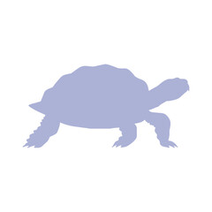 A gray turtle silhouette