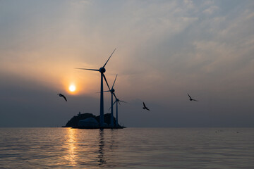 View of the wind turbines and flying seagulls during sunset on the sea