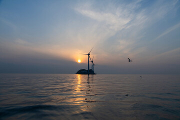 View of the wind turbines and flying seagulls during sunset on the sea