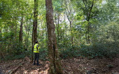 Field ecologist taking measures carbon in forests and track greenhouse gas emissions for monitoring...