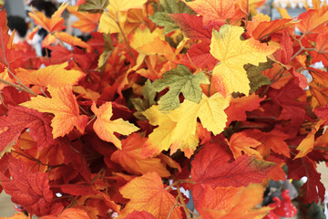 autumn background of colorful leaves