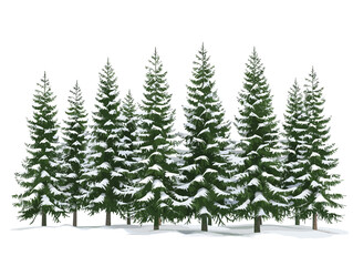 white background, A group of pine trees with snow resting on their needles., very simple and isolate in the style of animated illustrations, white background