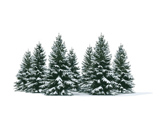 white background, A group of pine trees with snow resting on their needles., very simple and isolate in the style of animated illustrations, white background