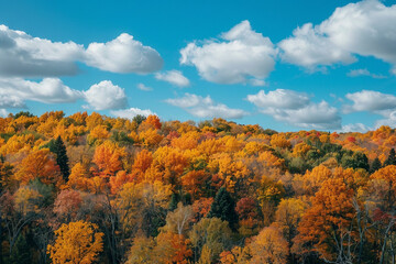 Fototapeta premium Stunning Autumn Landscape full of fall trees, orange, red and yellow leaves