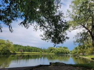 lake in the park