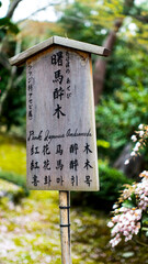 JAPAN, KYOTO – April 2024:  wooden signboard indicating a Japanese andromeda in the garden with of Daihonzan Tenryuji Temple in Kyoto