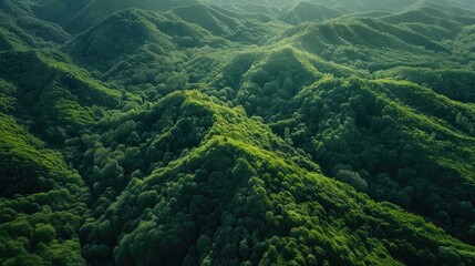 Drone aerial shot of rugged mountain terrain covered in lush green forest, capturing nature's beauty