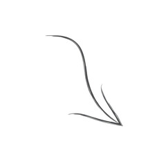 black arrow icon transparent png or isolated on white background. flat style. arrow icon for your web site design, logo, app, UI design.
