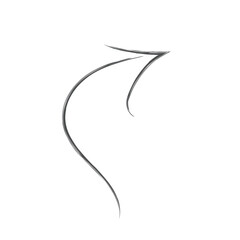 Fototapeta premium black arrow icon transparent png or isolated on white background. flat style. arrow icon for your web site design, logo, app, UI design.