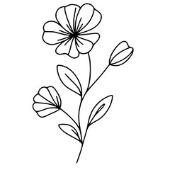 This is an illustration of flowers in a simple and modern line art style.