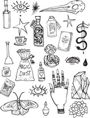 Set line art drawing clipart halloween holiday party invitation. Witch minimalistic items icons bird skull witch magic book sword rose flower Gothic stickers design elements on occult scary theme