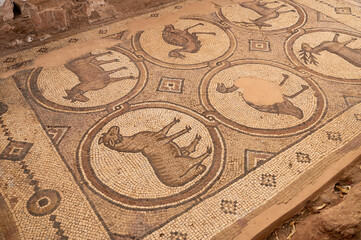 Petra, mosaicos con motivos animales en la iglesia bizantina, Jordania.