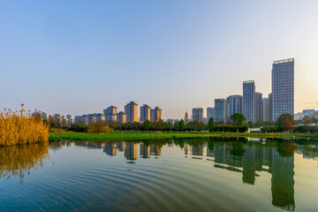 Reflection of urban wetlands