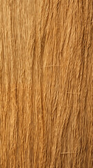 Dry Wheat Straw Rice Grass, Background Texture Abstract Image Pattern, For Wallpaper, Background, Cover and Cell Phone Screen, Smartphone, Computer, Laptop, Format 9:16 and 16:9 - PNG