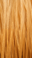 Naklejka premium Dry Wheat Straw Rice Grass, Background Texture Abstract Image Pattern, For Wallpaper, Background, Cover and Cell Phone Screen, Smartphone, Computer, Laptop, Format 9:16 and 16:9 - PNG