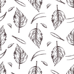 Yellow autumn birch leaves with pine needles. Graphic illustration, hand drawn with brown ink, line art monochrome. Seamless pattern, simple on the theme of forest, harvest, nature.