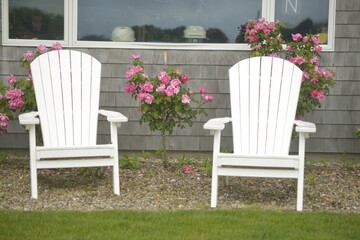 Chairs Cape Cod
