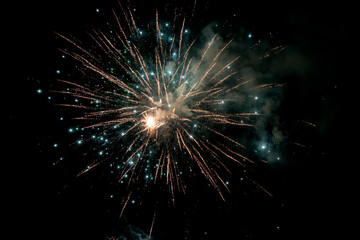 Fireworks blooming in the night sky